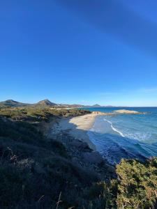 La Collina: Il maestrale img22