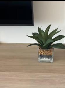 Newton 1 CBD Jakarta Sudirman