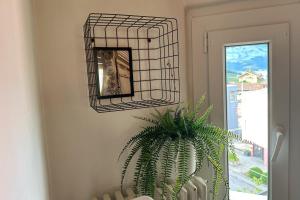 Place of rest in Spiez