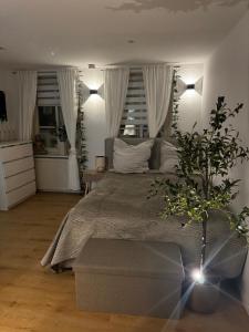 BG Living & Hosting - Stilvolles Studio im Herzen der Stadt - WLAN inklusive