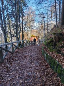 Centralissimo Tiziano 11 a Pieve di Cadore