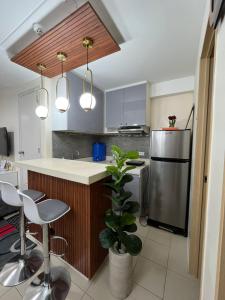 2BR DECA HOME Pasig City