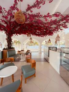 Santorini Transit hotel