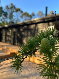 Summer House At Thyholm With Fjord View