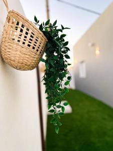 Villas tesoro del pirata