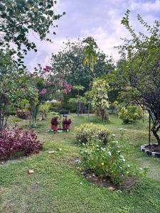 Park View Stay