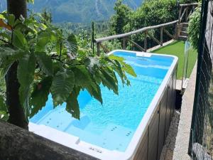 village holiday house with a pool
