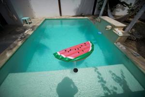 Casa Hokol - Gran Departamento con Alberca