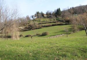 Mountain View Watermill - Villa Bucigna