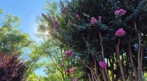 Departamento tranquilo cerca de la terminal Villa General Belgrano a 5 cuadras del centro