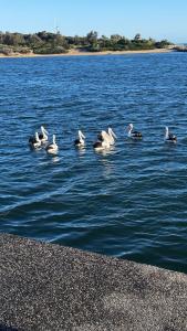 Olivers Beach Getaway