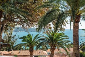 Apartments Belvedere