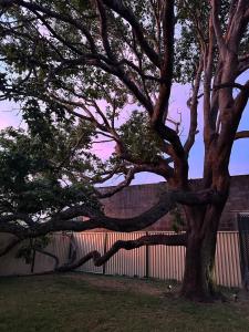 Guest House in East Devonport