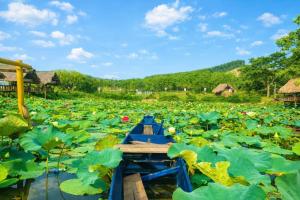 Đồi Dẻ Eco HomeStay