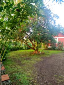 Shalom Farm Stay