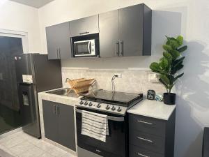 Villa panamericana san miguel