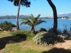 Appart'hotels Maranatha, front de mer avec plage : photos des chambres