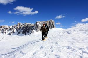 Villa Cristallino -Stayincortina