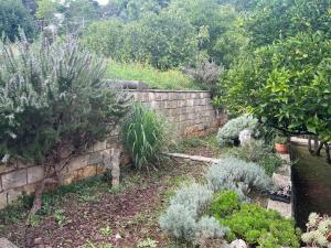 Forteca Apartments - Korčula Centre