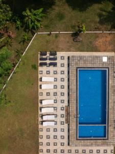 The Jungle Pearl Hotel
