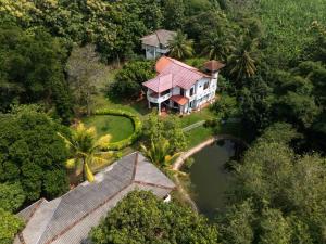 The Jungle Pearl Hotel