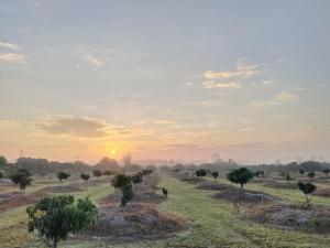 Little Forest Chiang Mai