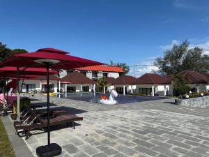 Koh rong Happy Beach Resort 高龙岛快乐海滩度假村