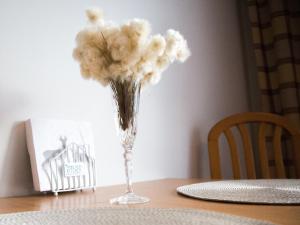 Apartments Rautulampi