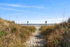 Oceanfront 1BR King • Ground-Floor Patio • Dog Friendly • Blue Mist 101