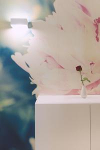 Ambassador Suite Studio