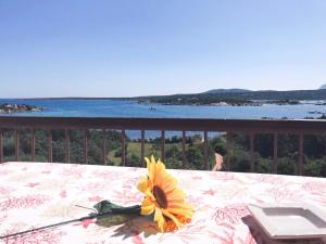 Appartamenti sul mare img28