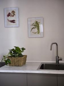 10 Min from the center - historic building - studio apartment