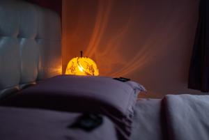 Vila Jotic, Zavojsko jezero