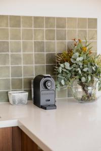 Jarosite Escape - Audrey