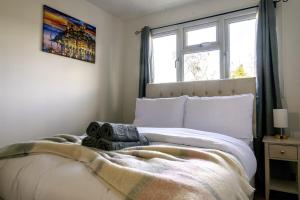 Stylish 3-Bed Home with Garden, Pet Friendly