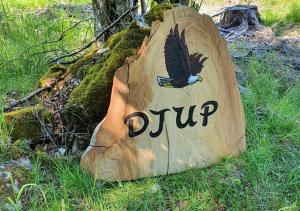 Djup