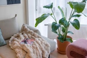 Valemi NEW Premium & Huge, 2Bathroom, SuperCentral, FreeParking, up to 8-16 Guests