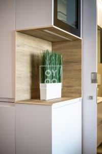 La Llana Rooftop Oasis, Outdoor kitchen and pool, by OYOOSTAYS