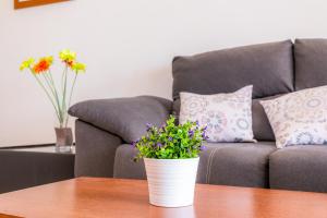 Apartamento Serendipia