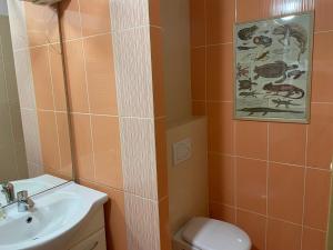 Bright Central Apartment Overlooking Zvolen Square