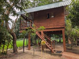 Comfort Treehouse Pidurangala