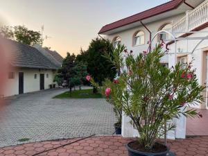 PENSION EUROPA - Diakovce SALA