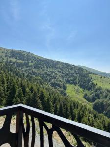 Vila Golija StudiovetKop