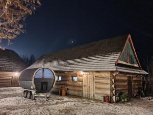 Gniazdo w Felicjanowie