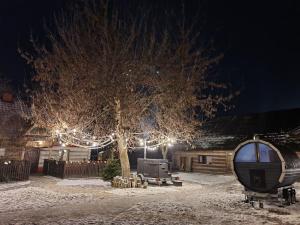 Gniazdo w Felicjanowie