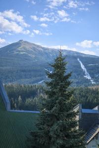 Wonderful Dream Apartament z widokiem na Śnieżkę