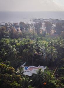 Ambadnya Homestays