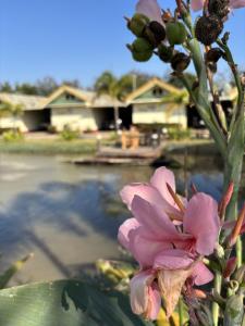 The Orchid Resort & Relax