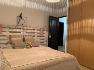 Maison de charme au coeur des Alpilles, piscine