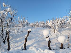 THE KASHMIRi GUEST HOUSE